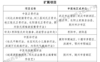 中医国家非物质文化遗产（中医国家非遗项目名单最新版在哪看）