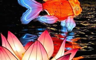 鱼龙舞非物质文化遗产（鱼龙舞非遗表演流程详解）