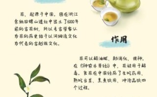 非物质文化遗产茶（茶类非物质文化遗产有哪些）