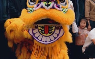 舞狮列入非物质文化遗产（舞狮为何能列入中国非遗）