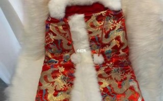 非物质文化遗产披风（非物质文化遗产披风是什么面料做的）