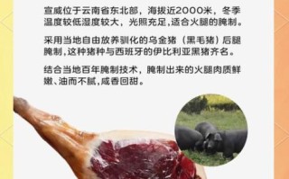 宣威非物质文化遗产级别（宣威火腿是什么级别的非遗）