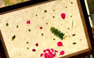 郧阳非物质文化遗产皮纸（郧阳皮纸非遗工艺新手入门指南）