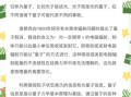计算机量子技术（量子计算机能做什么：新手入门指南）