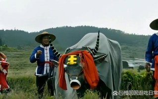 非物质文化遗产舞牛（舞牛非物质文化遗产传承教程）