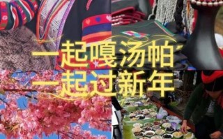 哈尼非物质文化遗产（哈尼非遗有哪些节日可以体验）