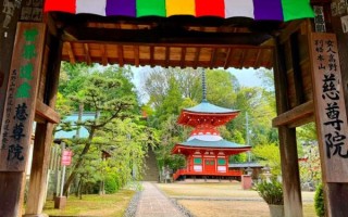 日本世界非物质文化遗产（日本的世界非物质文化遗产有哪些）