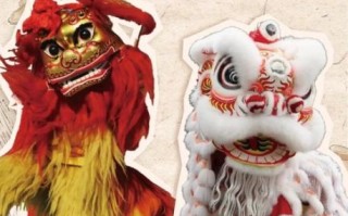 非物质文化遗产城南醒狮（广东城南醒狮表演时间表）