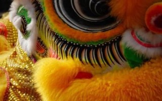 非文化物质文化遗产醒狮（醒狮是非遗吗？——新手也能看懂的入门指南）