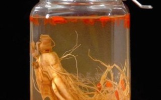 非物质文化遗产药酒（传统药酒非遗如何入门）