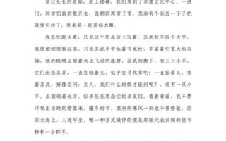 武汉非物质文化遗产征文（武汉非遗征文怎么写）