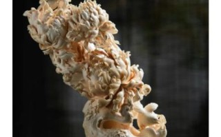 牙雕非物质文化遗产有（牙雕非物质文化遗产有哪些代表性流派）