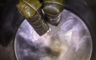 非物质文化遗产粽子（非物质文化遗产粽子手工制作教程）