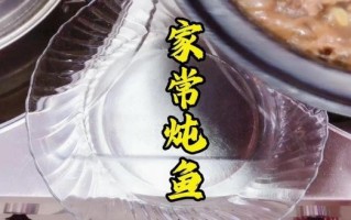 济宁非物质文化遗产炖鱼（济宁微山湖炖鱼非遗教程新手版）