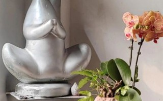 乡村非物质文化遗产面积（乡村非遗分布面积怎么查）