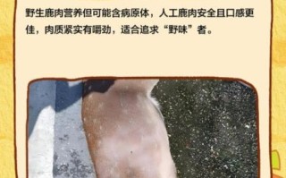 鹿肉非物质文化遗产（鹿肉非遗项目属于哪一类）