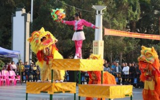 广西田阳非物质文化遗产（广西田阳壮族舞狮技艺传承介绍）