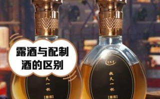 非物质文化遗产露酒（非物质文化遗产露酒有哪些品牌值得入门）