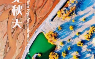 金塔县的非物质文化遗产（金塔县非物质文化遗产名录全览）