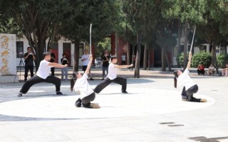 陈家沟非物质文化遗产（陈家沟非遗太极拳怎么学）