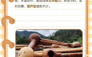 葫芦笙非物质文化遗产（葫芦笙制作工艺与非遗传承完整拆解）