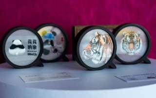 湖南的非物质文化遗产（湖南非遗代表性项目有哪些）