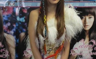 阿兰 非物质文化遗产（阿兰非遗技艺新手入门指南）