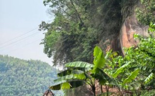 蜀南竹海非物质文化遗产（蜀南竹海有哪些非物质文化遗产）