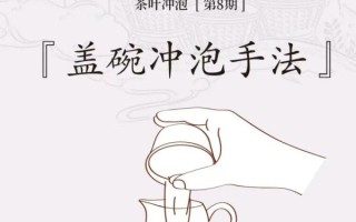 非物质文化遗产盖碗（非物质文化遗产盖碗冲泡方法视频）