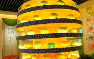 哈密非物质文化遗产名录（哈密非遗名录完整版有哪些？）