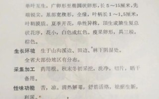 非物质文化遗产 草药医（非药草医入门指南：草药医是什么？）