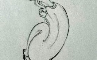 非物质文化遗产玉石（非物质文化遗产玉石雕刻新手怎么入门）