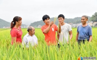 羊古坳镇非物质文化遗产（羊古坳镇非遗有哪些？）