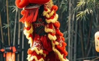 岷县非物质文化遗产舞狮（岷县非遗舞狮表演时间和路线是什么）