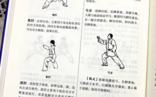 太极拳非物质文化遗产（太极拳非遗入门指南）