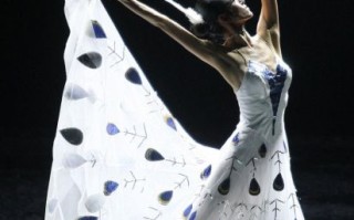 傣族非物质文化遗产（傣族孔雀舞列入非遗是哪一年）