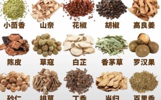 非物质文化遗产调料（非物质文化遗产调料有哪些：小白扫盲指南）