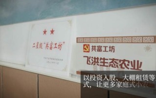 富华非物质文化遗产（富华非遗工坊在哪个城市）