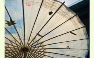 雨伞非物质文化遗产（传统油纸伞制作技艺是非遗吗）