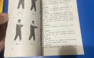 非物质文化遗产武术咏春（咏春拳非物质文化遗产怎么入门）