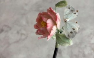 黎族古簪非物质文化遗产（黎族古簪制作工艺有哪些奥秘）