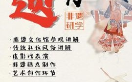 走进非物质文化遗产收获（走进非物质文化遗产收获传统文化新体验）