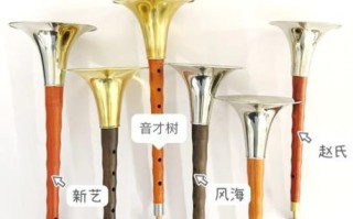 睢宁唢呐非物质文化遗产（睢宁唢呐非遗怎么学零基础入门指南）