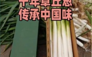 非物质文化遗产大葱（非物质文化遗产大葱的制作工艺揭秘）