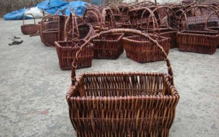 霍邱非物质文化遗产（霍邱柳编的传承与体验指南）