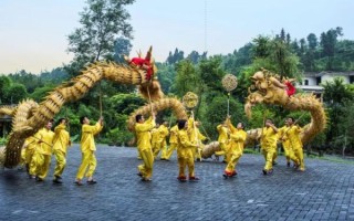 璧山非物质文化遗产草龙（璧山草龙舞怎么学？非遗小白入门指南）