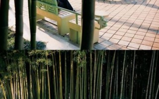 九子公园非物质文化遗产（九子公园非遗项目有哪些）