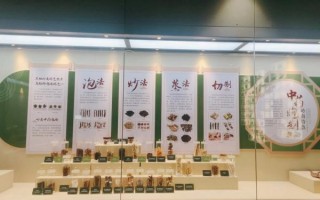 广药非物质文化遗产（广药非遗技艺如何影响现代中药市场）