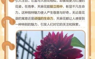天须花花非物质文化遗产（天须花花非遗怎么学？0基础入门教程）