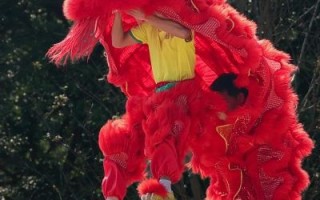 非物质文化遗产醒狮（非物质文化遗产醒狮表演为何吸引人）